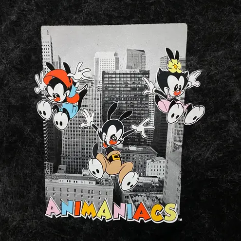 Animaniacs Acid Wash Grey T-Shirt, Size XL