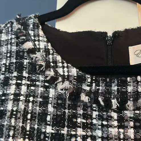 Eliza J  Black White Black Fringe Tweed Sleeveless Lined Dress size 14