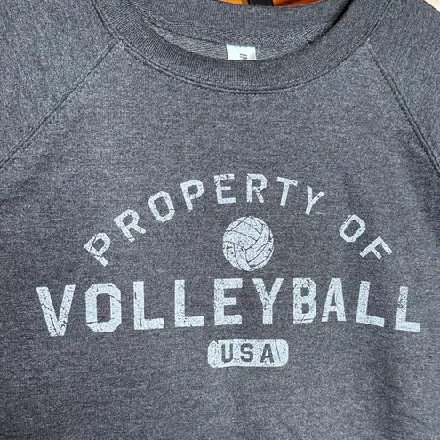 NWT Independent Trading Company Gray Volleyball USA Sweatshirt Size Medium
