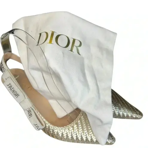 Dior Christian  Nude Chrome Shoes With Crystal On The Side Ribbon Band.