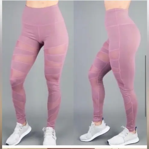 Buff Bunny Pink Anastasia Mauvelous Mesh Leggings