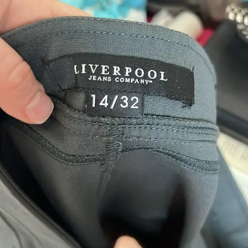 EUC Liverpool Jeans Company Grey Stretchy Skirt sz 14/32 Gray