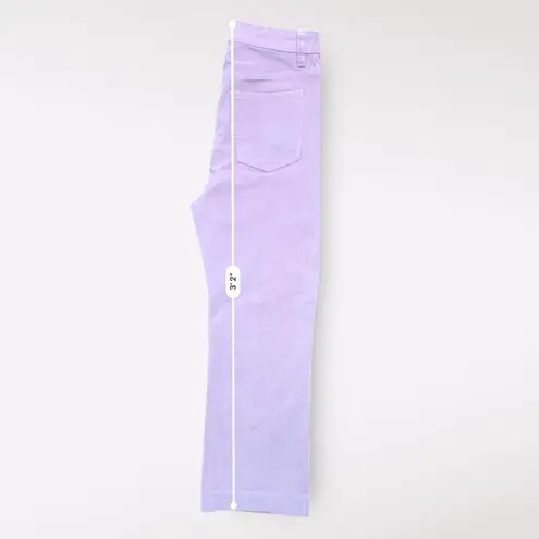 Tyler Boe NWOT Wide Leg Pink Corduroy Pants Women’s Size 6