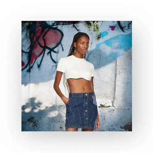 Ivy Park VHTF: new adidas originals x ᯾ Beyoncé Denim Mini Skirt ᯾ Dark Stripe M