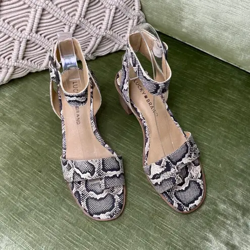 Lucky Brand  Loklin Heeled Sandal Snake Print Ankle Strap Chunky Heel Size 6 New