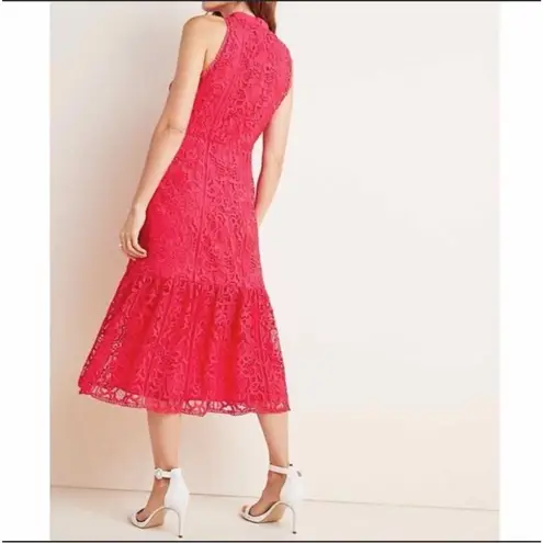 Monique Lhuillier Lace Fit & Flare Midi Dress Raspberry Red Size 2