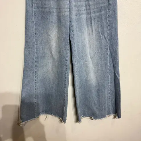 Pilcro  Blue Wide Leg Cropped Boyfriend Raw Hem Jeans Sz 28