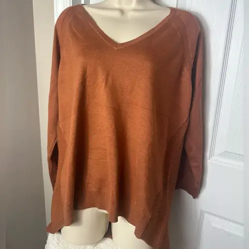 Cyrus V Neck Sweater NWOT
