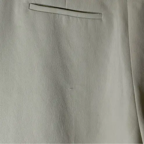 Aritzia Wilfred Limerick Short Light Sage Green Size 12 DTR4