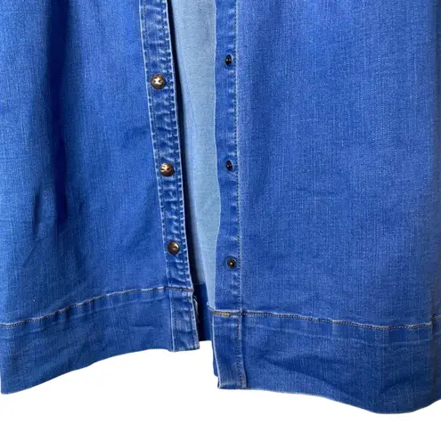 Max jeans Denim Shirt Dress