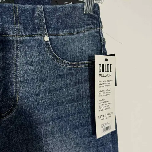 Liverpool Jeans Company Stitch Fix Liverpool Chloe Pull-On Slim Jean In Westchester Size 26/2