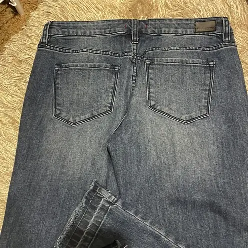 Dear John  Distressed Jeans Size 29