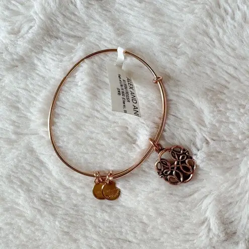 ALEX AND ANI NWT  Path of life rose gold bracelet