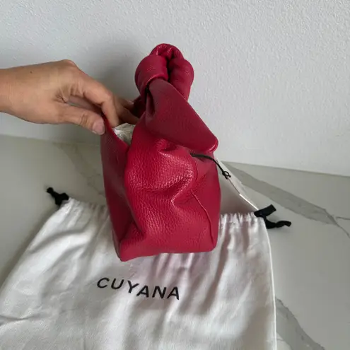 Cuyana New Mini Bow Bag Raspberry, Pebbled, Gold