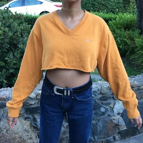 Neiman Marcus Long sleeve crop top