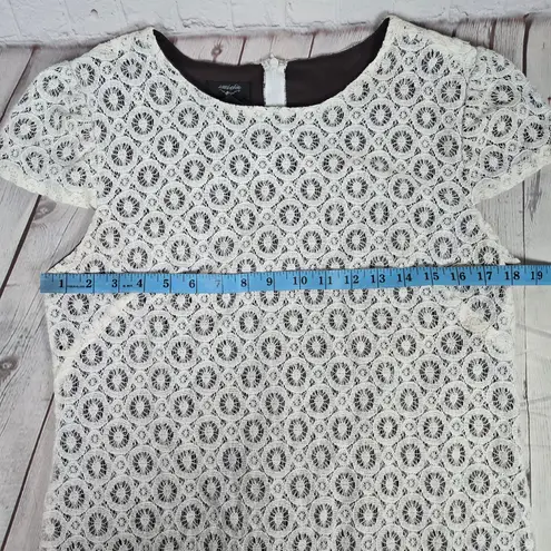 Suzi Chin Short Sleeve Mini Dress Ivory Crochet Lace Chocolate Brown Lining 12