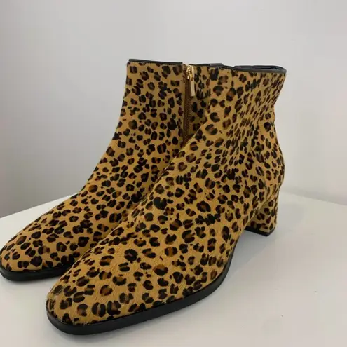 via spiga  Vinson Genuine Calf Hair Cheetah Bootie