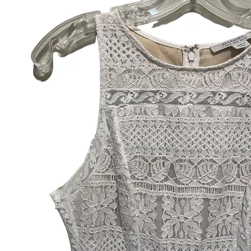 All Saints Melia Lace Mini Dress Ivory White Overlay Size 4