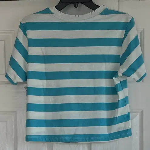 Mighty fine 🍂NASA striped distressed crop top🍂