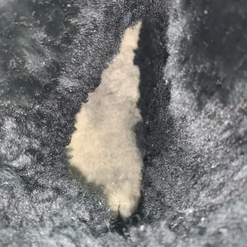 UGG Australia Black Bailey Button Triplet 1873 Sheepskin Boot Women Size 7