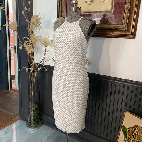 Bailey 44 White & Sheer Nude Cut Out Cocktail Dress - Sz 8 💚🎀