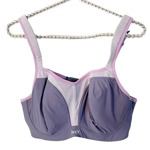 Panache  Sport Bra Gray Purple 38DD Underwire J Hook Racerback Hi Impact