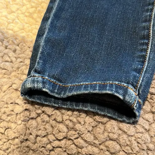 Pilcro and the Letterpress Anthropologie Women’s Stet Skinny jeans size …