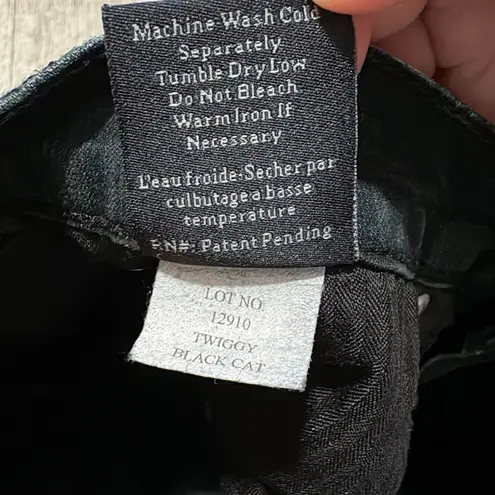 James Jeans Twiggy In Black Cat Skinny Jean Dry Aged Denim Women’s Size 27