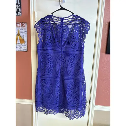 Elie Tahari Plum Lace Fit & Flare Sleeveless Dress Size 16 Elegant Design