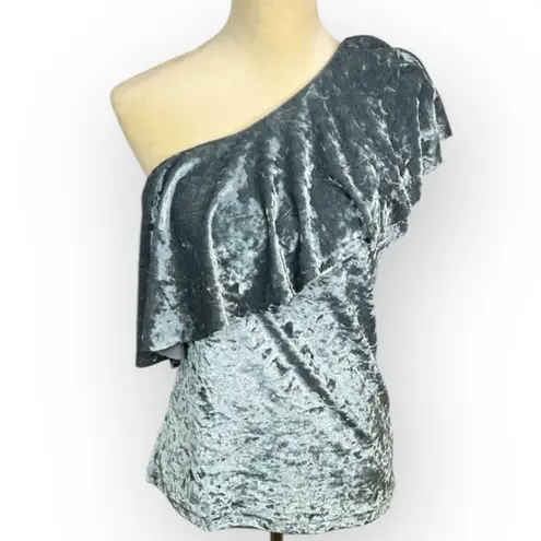 Tart Women's One Shoulder Blue Gray Velvet Blouse Size S Ruffle Top NWOT