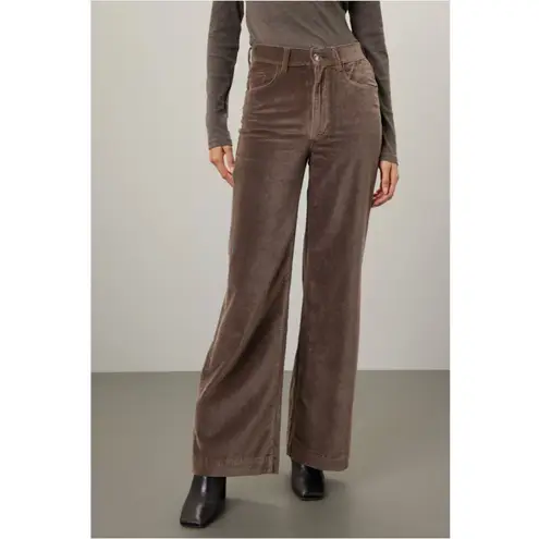 DL1961 Hepburn Wide Leg Velvet Pants Sz 31