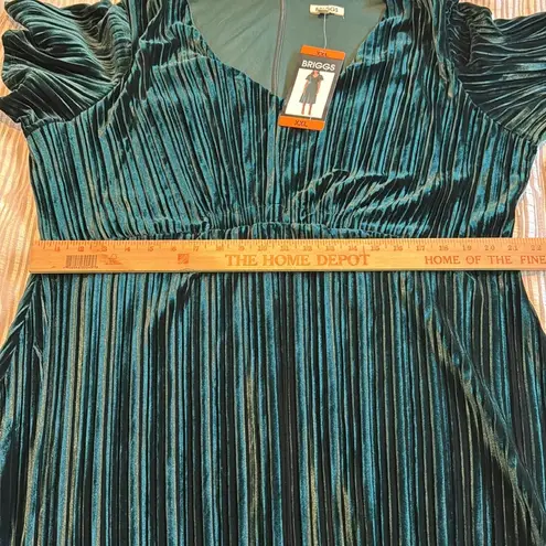 Briggs New York Briggs Ladies Pleated Velvet Dress NWT