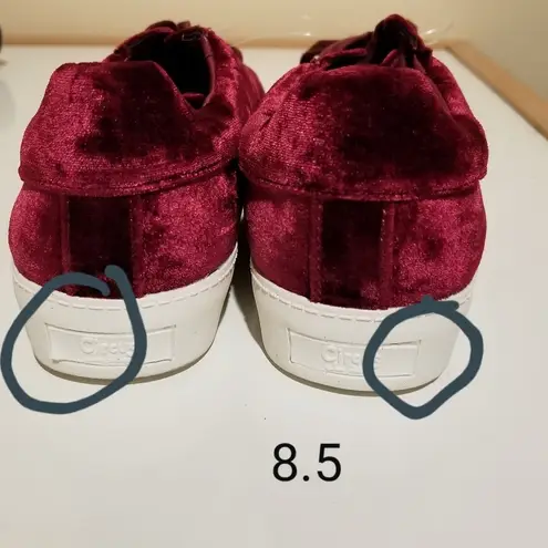Circus by Sam Edelman Sam Edelman Shoes Sneakers Cranberry Velvet Shoe 8.5