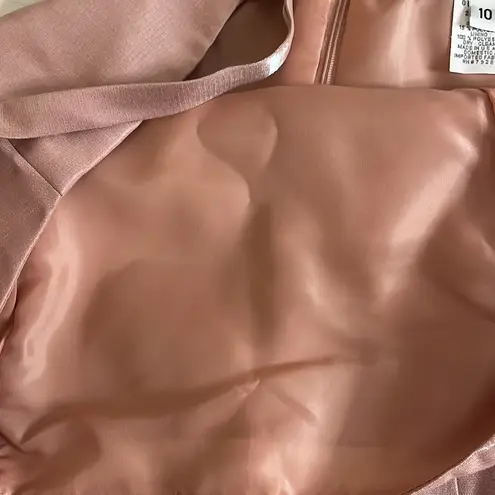 Alex Evenings Pink Shimmer Column Gown