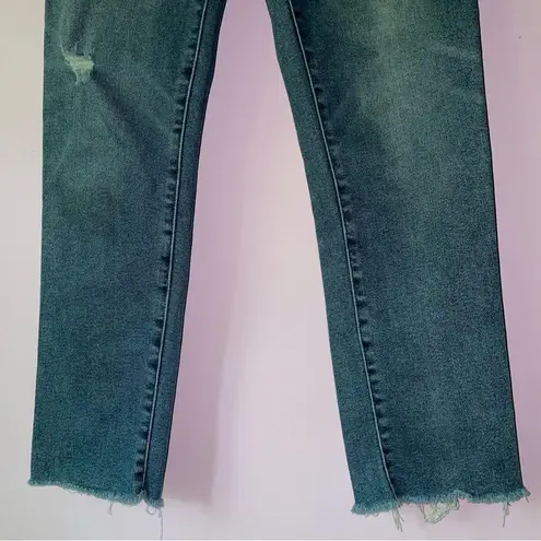 Evereve Size 27 The Ever Straight High Rise Fit Button Fly Medium Wash