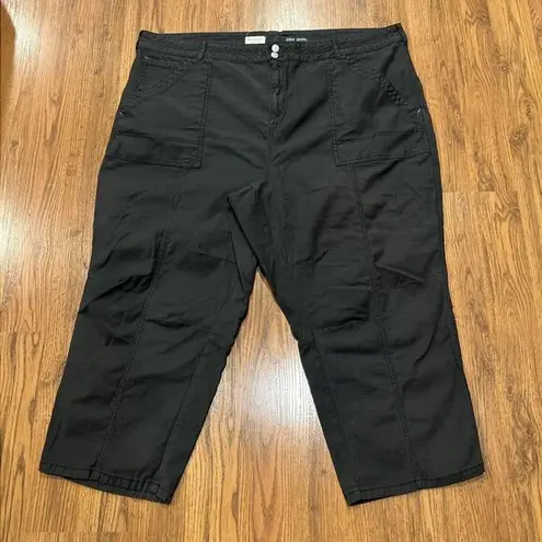 Pilcro Pants Womens 26W Plus Gray High Rise Pockets Crop Ankle *Flaw*