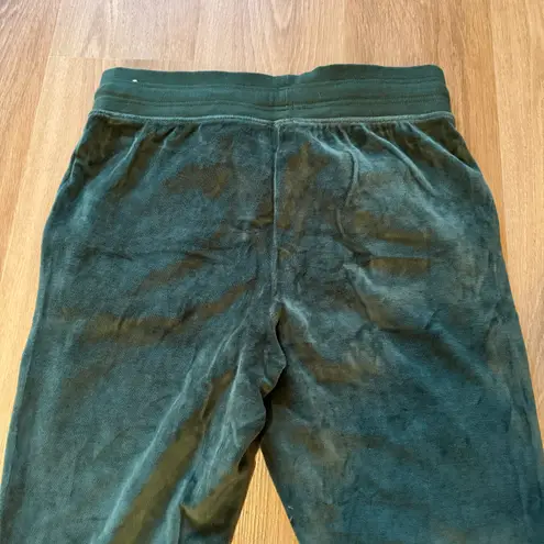 Aerie Dark Green Velvet Flare Sweatpants