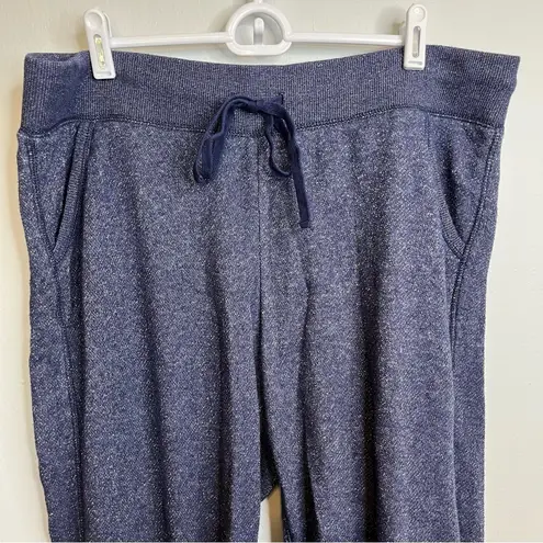 Aerie  Navy Blue Track Pants