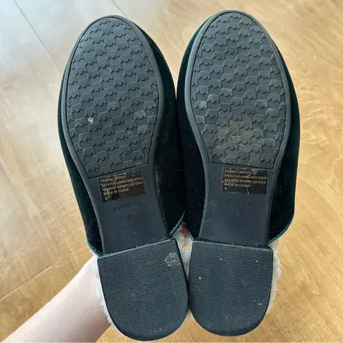 Birdies Women’s Emerald Green Velvet Phoebe Mules, Size 9