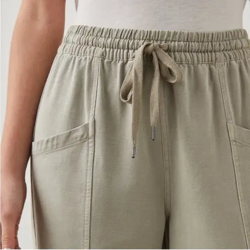 Rails Light Green Sage Tencel Cotton Twill Relaxed Joggers Pull On Haven Pants