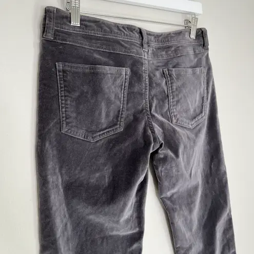 Garnet Hill Women’s Straight Leg Velvet Pants in Grey Size 2