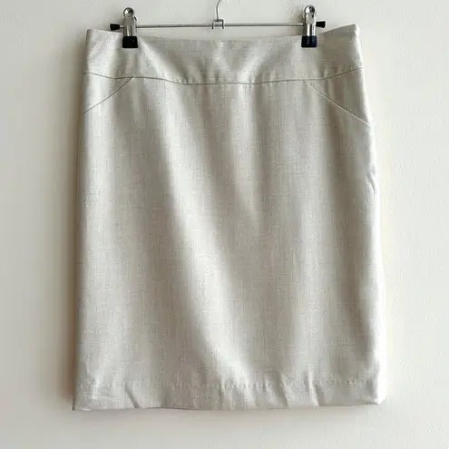 Amanda & Chelsea Pencil Skirt, Contemporary Fit Stretch Skirt, Stone, Size 4 NWT