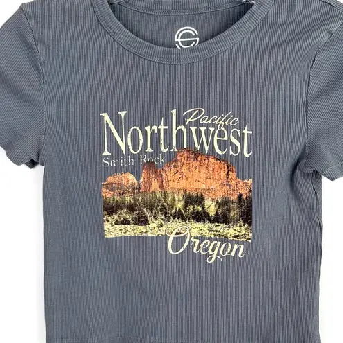 Social Culture Cropped T Shirt Micro Tee Gray Size Small