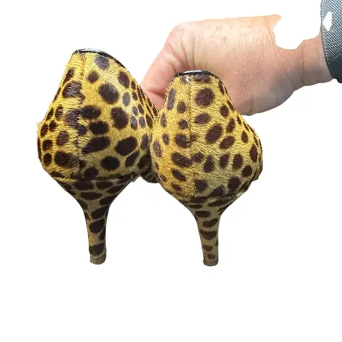 Louise et Cie Shoes Womens Size 6 Leopard Haircalf Pointed Toe Pumps Gold Buckle