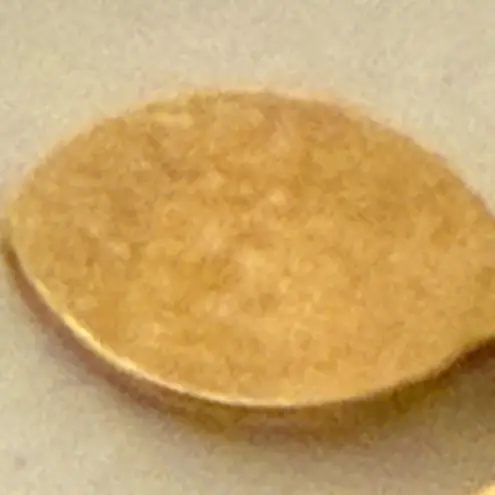 Avon Hazelnut Gold Tone Choker Necklace Textured Cone Shaped Clusters Bee Hives