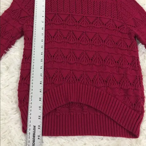 Daniel Cremieux Cremieux Maroon Pink Chunky Sweater Medium