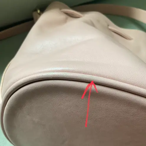 Sézane RARE cute cute Sezane Mini Farrow Bag in Pink