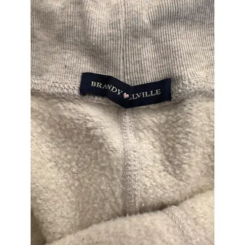 Brandy Melville  - Rainey Sweat Shorts in Gray