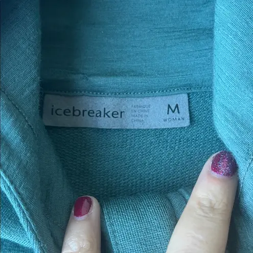 Icebreaker Merino 260 Quantum Long Sleeve Zip Hoodie Sage Green Medium