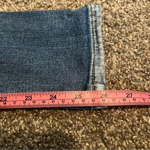 Bridge by GLY  Distressed Jeans size 24 - Image 6